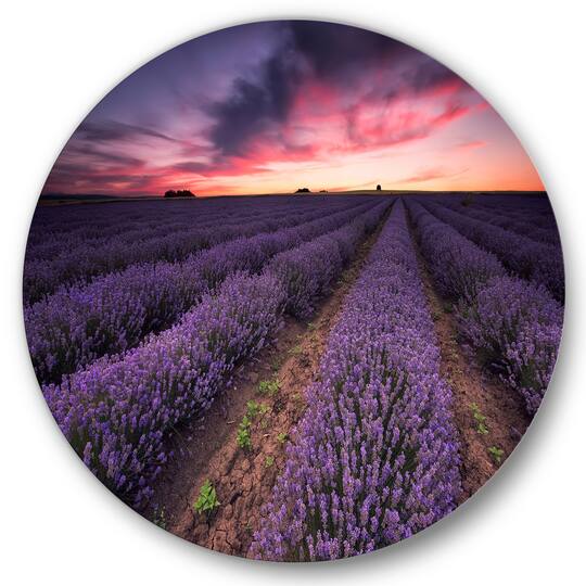 Designart - Sunrise & Dramatic Clouds Over Lavender Field IX - Farmhouse Metal Circle Wall Art